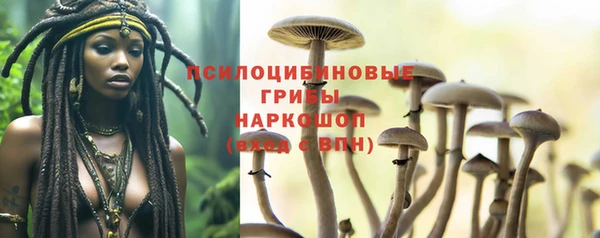 дживик Медвежьегорск