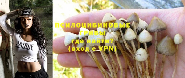 ПСИЛОЦИБИНОВЫЕ ГРИБЫ Медногорск