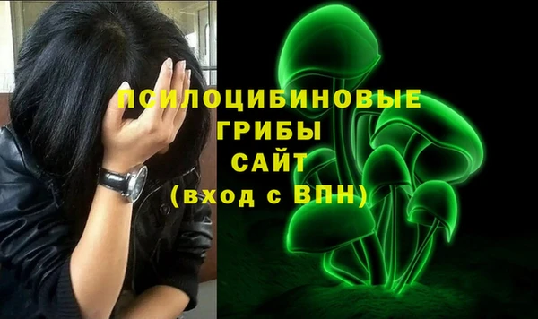 a pvp Мегион